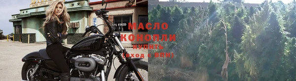 крисы Аркадак