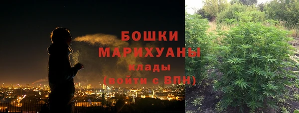 крисы Аркадак