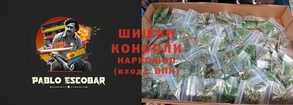крисы Аркадак