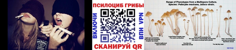 Галлюциногенные грибы Magic Shrooms  где можно купить   Скопин 